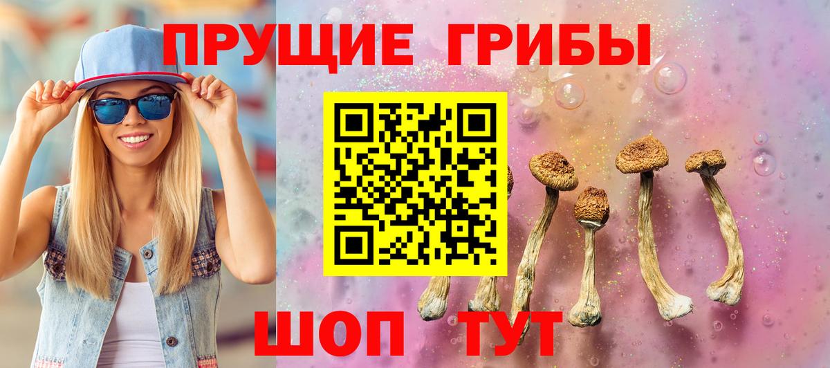 наркотики  Вход с VPN  Чусовой  Галлюциногенные грибы Cubensis 