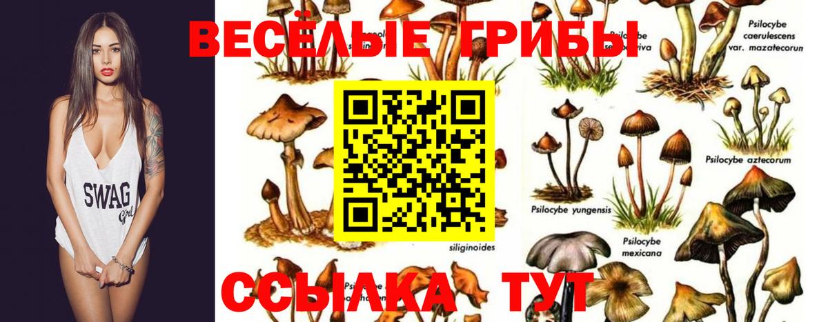 Галлюциногенные грибы GOLDEN TEACHER Чусовой